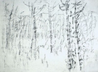 forest | 2001 | mixed technics on canvas | 160x210 -  